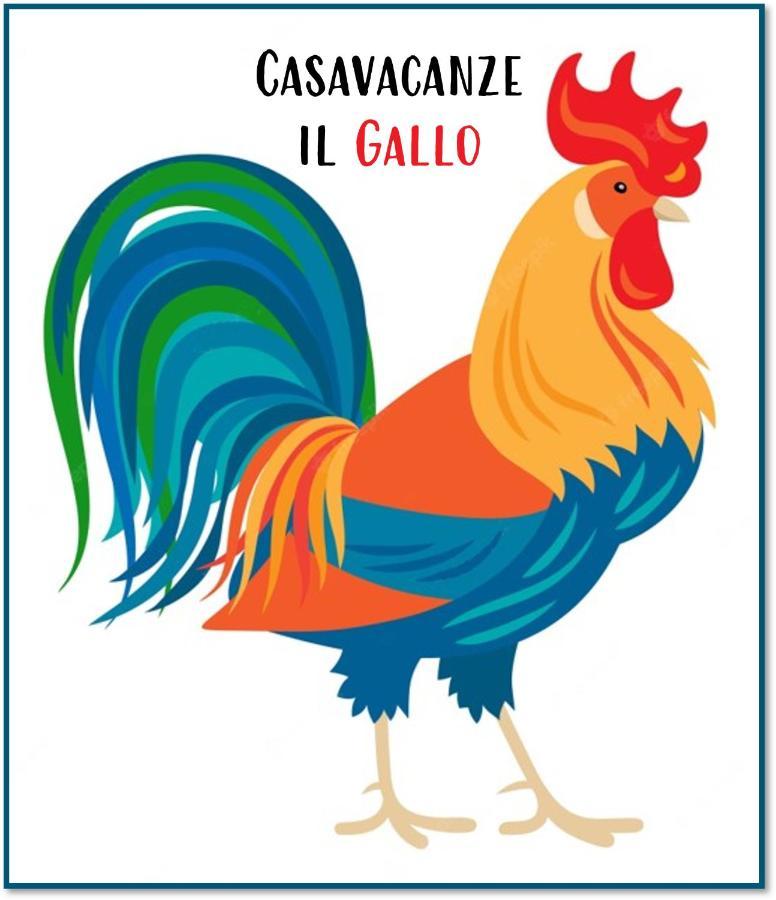 Casavacanze Il Gallo Omegna Eksteriør bilde